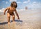 A boy examines a stranded jellyfish under the bright summer sun