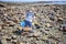 Boy exploring tide pools on New Hampshire coast