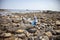 Boy exploring tide pools on New Hampshire coast