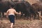 Boy farmer herd cow feeding food outdoor. Little farmer playing