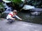 Boy is feeding birds... Australia