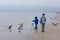 Boy feeding gulls on the beach. Little boy stands on beach the sea on cold windy day