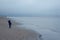 Boy feeding gulls on the beach. Little boy stands on beach the sea on cold windy day