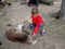 Boy is feeding a kangaroo... Australia