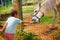 Boy feeding pony through the fence on animal farm. focus on horse