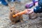 Boy feeding rabbit
