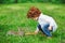 Boy feeding rabbit with carrot in park