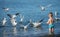 Boy feeding seagulls