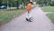 A boy in a fireman helmet rides a segway along a track