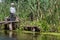 Boy while fishing