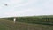 A boy is flying a kite in the green field