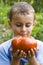 Boy with giant tomato