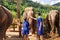 A boy and a girl caress an elephant at sanctuary in Chiang Mai T