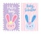 Boy or girl, gender reveal hello baby cute rabbits card