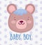 Boy or girl, gender reveal its a boy cute bear face card