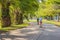 Boy and girl on kick scooters in park. Kids learn to skate roller board. Little boy skating on sunny summer day. Outdoor