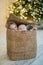 Boy and girl sit in the box near crismas tree