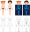 Boy and girl unclothed. Kids bodies by X-ray. Educational coloring book for kids