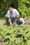 Boy With Grandfather Gardening