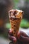 Boy hand holding an butterscotch ice cream cone with cashew nuts ice cream on a nature background