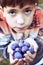 Boy with handful of ripe blue plums