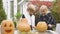 Boy helps girl to carve pumpkin jack-o-lantern, first love, little gentleman