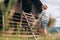 Boy helps put hay in the hayloft