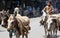 A boy herding donkeys in Peshawar, Pakistan