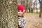 The boy hides behind a tree in the park. A child looks out from behind a tree, playing hide and seek on the street. Little boy is