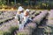 Boy hiding lavender behind his back. Little boy giving a bouquet of flowers to his mom. Motherhood Love Care Concept