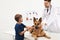 Boy with his dog visiting veterinarian