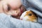 A boy with his guinea pig. A boy hugs a guinea pig. A child plays with the pet at home. Pet care