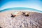 The boy with his mother sunbathe on the beach