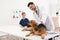 Boy with his pet visiting veterinarian. Doc examining dog
