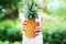 Boy Hold Pineapple Hands Summer Background