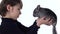 Boy is holding and carefully examines grey chinchilla at white background. Slow motion. Close up