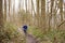 Boy holding stick running through a wood followed by pet dog