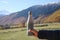 Boy holding thermo bottle with drink in mountains on sunny day, closeup