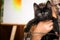 boy holds black kitten in hands. Black kitten 3 months with yellow eyes on background of easel with picture