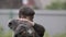 Boy holds a british cat in his arms and strokes her outdoors