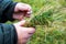 The boy holds the grass in his hands_