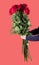 Boy holds a large bouquet of red roses with high stems and green leaves in his hands. Holiday greeting concept.