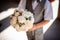 Boy holds wedding bouquet from white pion-shaped roses and brunia