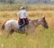 Boy on a horse on nature