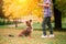 Boy hugging dog and plyaing with in the fall, city park