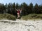 Boy jumping of the dune