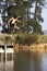 Boy Jumping From Jetty Into Lake