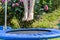 Boy jumping on trampoline in backyard