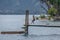 Boy jumping into the waters of Lake Atitlan from San Marcos la Laguna pier - San Marcos La Laguna, Lake Atitlan, Guatemala