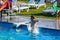 The boy jumps into the pool, children`s games and entertainment in the aqua park